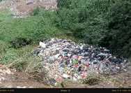 Wabah Lalat Serang Tiga Wilayah di Bogor, Pembuangan Sampah Jadi Sorotan DLH