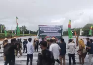 Harga Cabai Bakal Stabil? Pemkab Bogor Turun Tangan Tanam Ribuan Bibit!