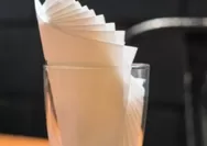 Rekomendasi Tisu Makan Food Grade, Jangan Lagi Pakai Tisu Toilet atau Wajah untuk Makanan Demi Jaga Kesehatan