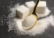 Duh, Studi Beberkan Konsumsi Pemanis Buatan Berlebihan Bisa Bikin Otak Alami Penuaan Hingga 1,6 Tahun Lebih Cepat