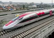 ICW Soroti Utang Rp116 Triliun Whoosh: Pemerintah Dinilai Kurang Matang, “Kok Baru Ribut Sekarang?”