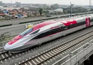 KPK Telusuri Dugaan Permainan Lahan Whoosh, Isu Tanah Negara Dijual Lagi Jadi Sorotan Utama