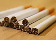 Dirjen Bea Cukai, Djaka Budi Utama Beberkan Penyebab Kebijakan CHT Mandek: Produksi Rokok Naik, Kampanye Antirokok Mandul, hingga Daya Beli Perokok