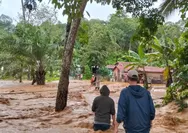 Banjir Sumatera hingga Asia Selatan Tewaskan 600 Jiwa, RI Belum Tetapkan Darurat Nasional Meski Korban Capai 442