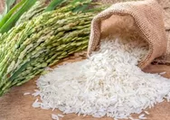 Pemerintah Keluarkan Opsi Impor, Benarkah Solusi Atasi Harga Beras yang Terus Naik?
