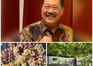 Tren Tanam Anggur di Carport: Inspirasi Agus Santoso dari Kota Cimahi