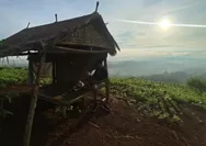 Puncak Bukit Pulek Miliki Potensi Besar untuk Dijadikan Desa Wisata di Kabupaten Cilacap Jawa Tengah