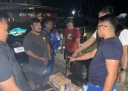 Polisi Airud Gagalkan Penyelundupan 50 Ribu Benih Lobster, Potensi Rugi Negara Rp 7,5 M