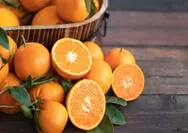 Supaya Jeruk Segar & Tahan Lama, Begini Caranya