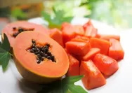 Ini Manfaat Buah Pepaya Bagi Kesehatan Tubuh 