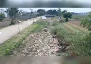 Gegara Saluran Irigasi Kering, Petani Desa Kedung Pengawas Babelan Meradang 