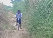 Jalan Penghubung Dua Desa di Babelan Ini Belum Pernah Diperbaiki,  Bakal Hambat Mobilitas Warga