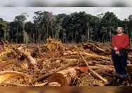Deforestasi Turun? Aktivis TRAMP: ‘Jangan Tertipu, Hutan Primer Kita Masih Hancur!’