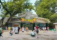 Kebun Binatang Bandung, Tempat Rekreasi dan Edukasi Di Bandung 