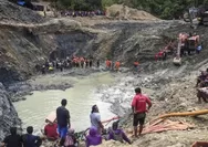Komplotan WNA Cina Menambang Emas Ilegal di Indonesia