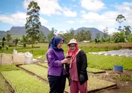 Loker Sikka Terbaru: Amartha Buka Sales Agent AmarthaLink, Gaji hingga Rp6,5 Juta