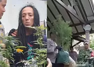 Digerebek Polisi, Pelaku Akui Sudah Budidaya Ganja di Rumah Kontrakan Jombang Selama 3 Bulan