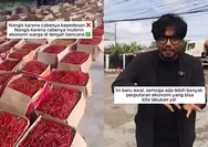 Soroti Hasil Panen Cabe yang Melimpah usai Bencana di Aceh, Ferry Irwandi: Nangis karena Muterin Ekonomi Warga