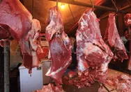 Jelang kesepakatan pengurangan tarif, minat Polandia terhadap ekspor daging sapi ke Indonesia kian meningkat