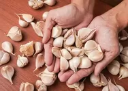 Indonesia targetkan swasembada bawang putih untuk mengurangi ketergantungan pada impor dari China