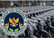 Ini alasan DPR RI setujui 17600 unit motor listrik BGN dihibahkan ke guru honorer