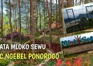 Destinasi Wisata Ponorogo Mloko Sewu yang Hits Ternyata Menyimpan 6 Fakta Menarik di Balik Pesona Alamnya