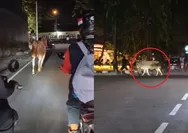Detik-detik Sapi Kurban Idul Adha 2026 Mendadak Lepas dan Keluyuran di Area Stasiun Klaten, Warga: Waduh Bahaya Ini!