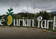 Menjelajahi Keindahan dan Pesona Alam di Dedurian Park Wonosalam Jombang