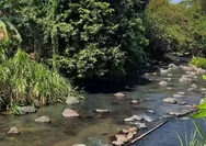 Pengen Tubing dan Outbound di Wisata New River Moon Klaten? Cek Daftar Harganya di Sini!
