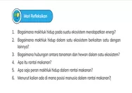 Referensi Kunci Jawaban IPAS Kelas 5 Halaman 47 Kurikulum Merdeka Tentang Ekosistem dan Rantai Makanan