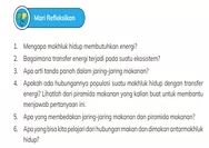 Referensi Kunci Jawaban IPAS Kelas 5 Kurikulum Merdeka Halaman 61 Tentang Transfer Energi Pada Mahluk Hidup Dalam Ekosistem