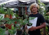 Central Botani Puncak Bogor, Tempat Nongkrong Asyik Sambil Belanja Bonsai dan Tanaman Hias