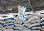 Di Tengah Krisis Pupuk Global, Presiden Prabowo Pangkas Harga 20% untuk Petani