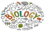 Dijamin Lulus! Soal UAS PAS Biologi Kelas 12 SMA Tema Bioteknologi