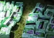 Bareskrim Polri Tangkap Kurir Narkoba Jaringan Malaysia-Indonesia di Riau, Sita 38 Kg Sabu