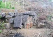 Taman Purba Rimba Candi: Jejak Kejayaan Sriwijaya di Tengah Rimba Sumatra Selatan