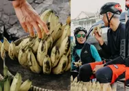 Ganjar Pranowo asyik makan pisang saat Prabowo-Gibran ditetapkan sebagai presiden dan wakil presiden terpilih, netizen: Pisang kapok Pak!