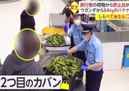 Bawa pisang 64 Kg sampai 3 koper, pria Uganda ini dapat pengalaman mengejutkan dari petugas Bea Cukai Jepang, netizen: Coba ketangkep sama...