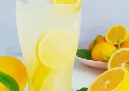 Kelezatan Lavender Lemonade: Minuman Segar dengan Aroma Unik Lavender