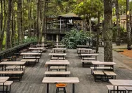 Cari Tempat Ngopi Paling Sejuk Bernuansa Alam Hutan Pinus di Bogor? Yuk Kunjungi Kopi Daong Bikin Betah Pokoknya