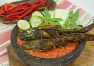 Ada Pecel Lele Viral di Gading Serpong, Baru Buka Langsung Waiting List