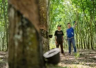 Proyek Akhir Tahun Pacu Kinerja UMKM, Konstruksi Jadi Sektor Terkuat