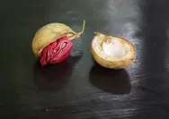Rahasia Kesehatan Tersembunyi di Balik Buah Pala!