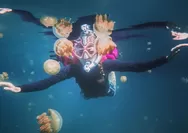 Jelajahi Pulau Kakaban, Nikmati Sensasi Snorkeling Bersama Ribuan Ubur-ubur yang Menakjubkan