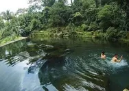 Berenang di Wisata Mata Air Cihunjuran Pandeglang Banyak Peninggalan Zaman Megalitikum