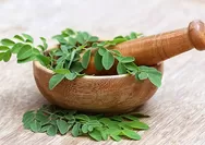 Daun Kelor: Rahasia Alam untuk Cegah Stunting dan Tingkatkan Gizi!