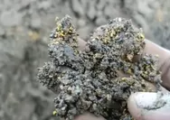 Warga Aceh Temukan Butiran Diduga Emas di Lumpur Sisa Banjir Bandang, Sebut Bencana Membawa Berkah