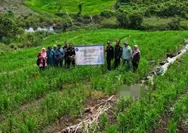 Kolaborasi Pemkab Mura dan IPB Perkuat Pertanian Padi Gogo Berkelanjutan