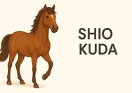 Tahun Kuda Api 2026 , Kenali Karakter dan Cara Menghadapinya