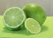 Hati-Hati dengan Cairan Jeruk Nipis Pada Kondisi Ini! Kandungan Senyawa Kimianya dapat Menyebabkan ‘Margarita Burns’